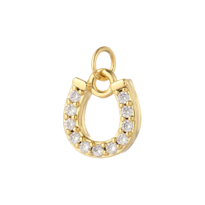 Horseshoe charm
