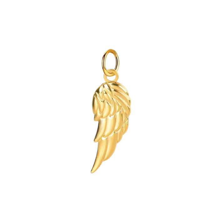 Wing charm