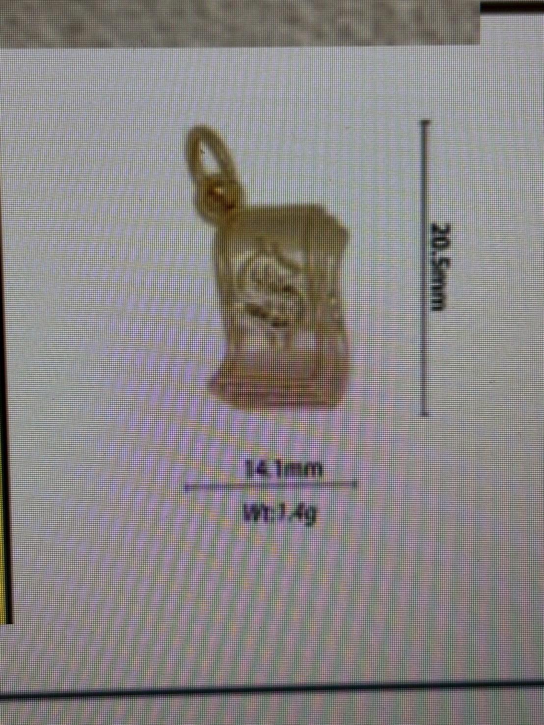 dollar bill small charm