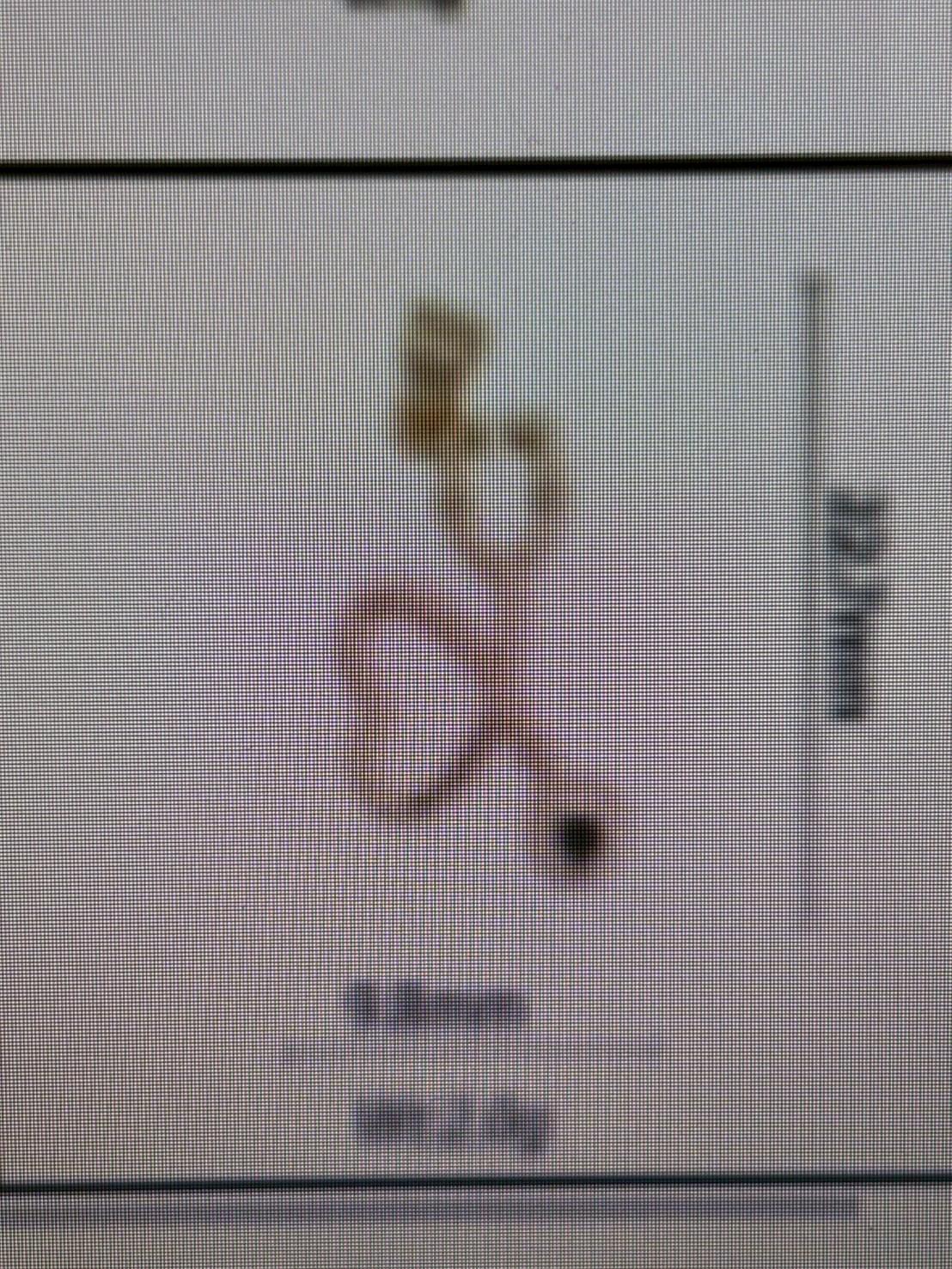 Doctor Stethoscope charm