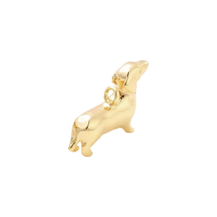 hot dog charm