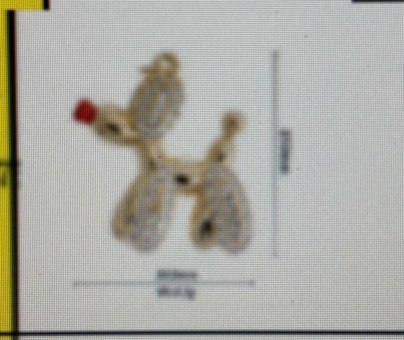 diamond balloon dog red nose charm