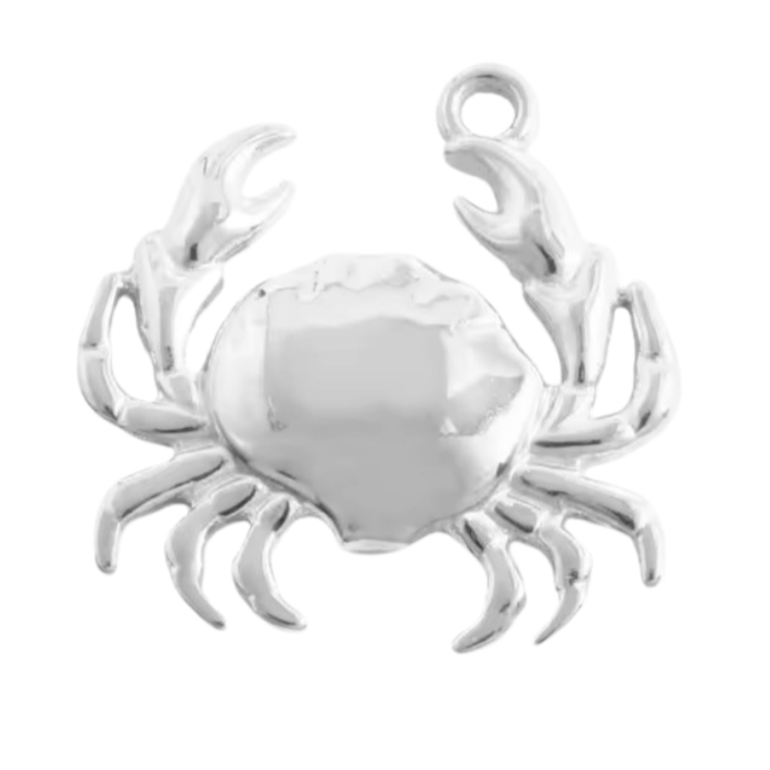 Star fish in ocean charm