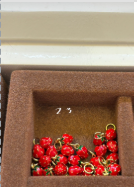 Little Strawberry charm