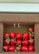 Abion Strawberry charm