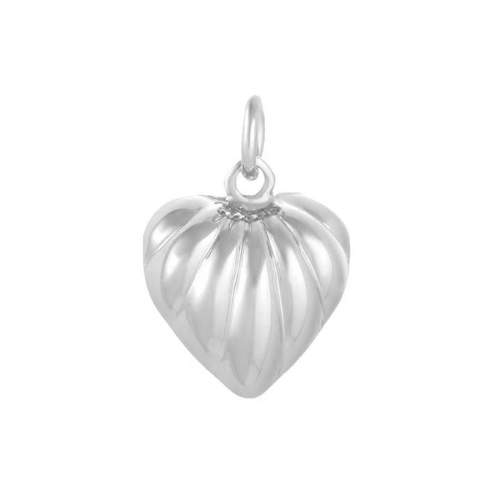 pumpkin heart silver charm