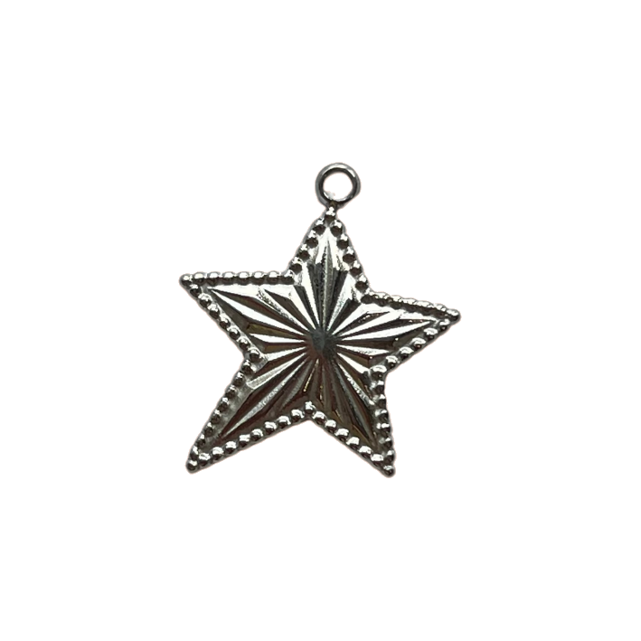 rockstar silver charm