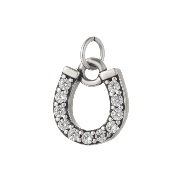 Horseshoe silver charm