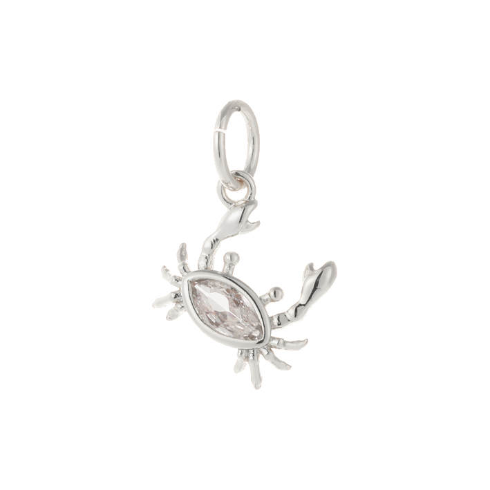 Diamond crab silver charm