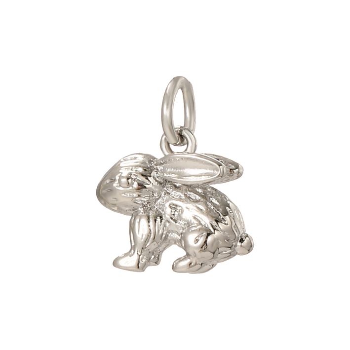 rabbit silver charm
