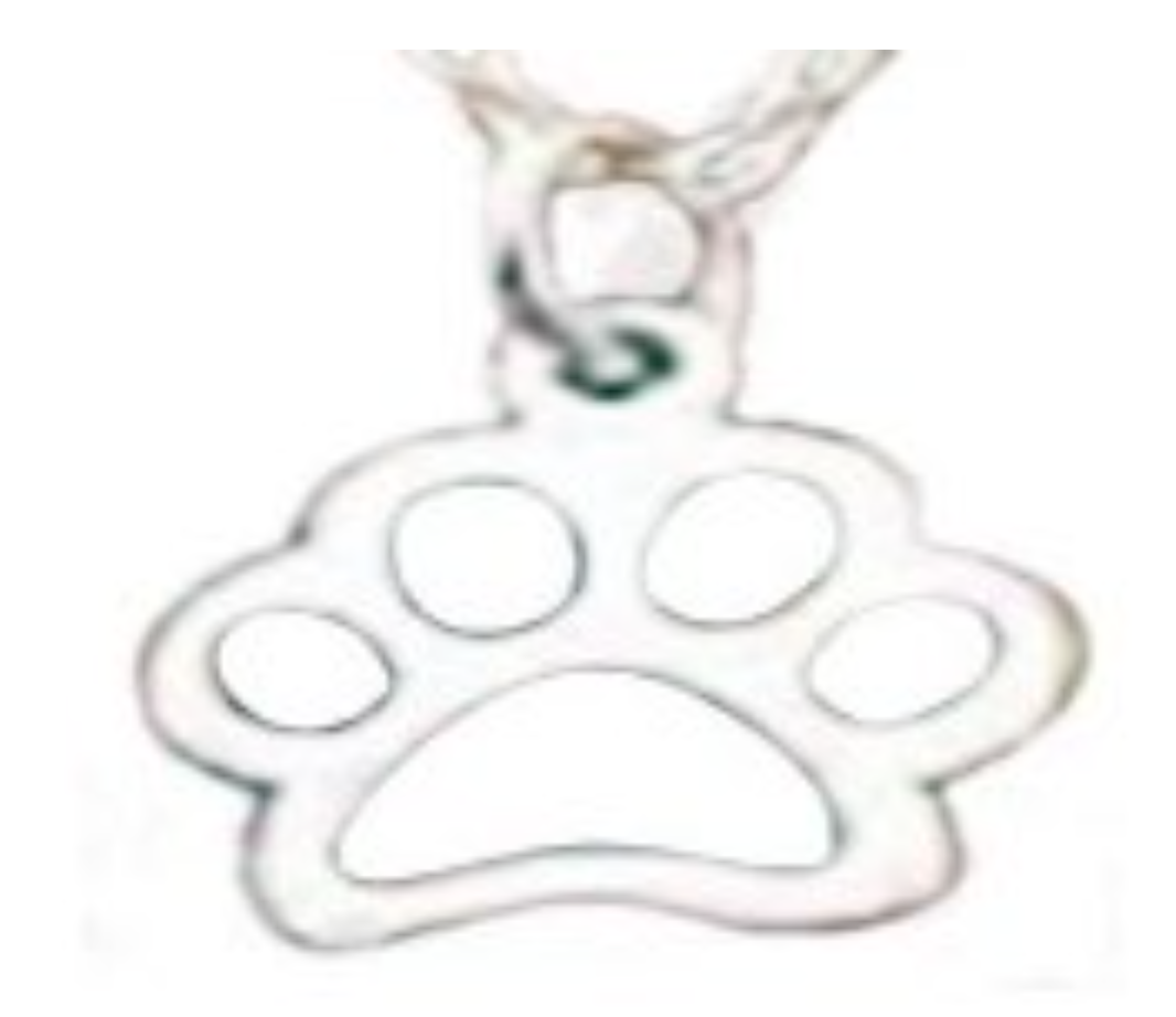 Dog paw silver charm