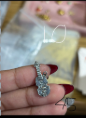 Boxing silver charm