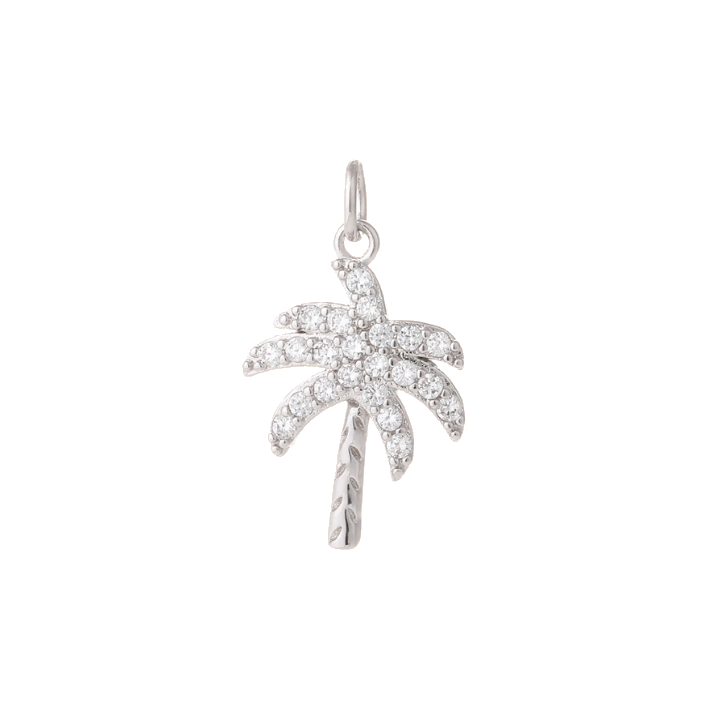 Coconut diamond silver charm