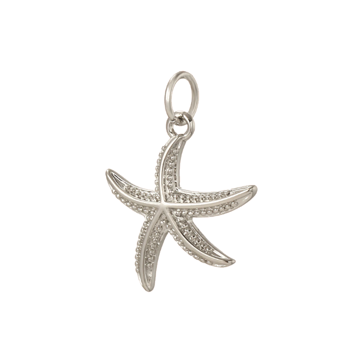 Starfish silver charm