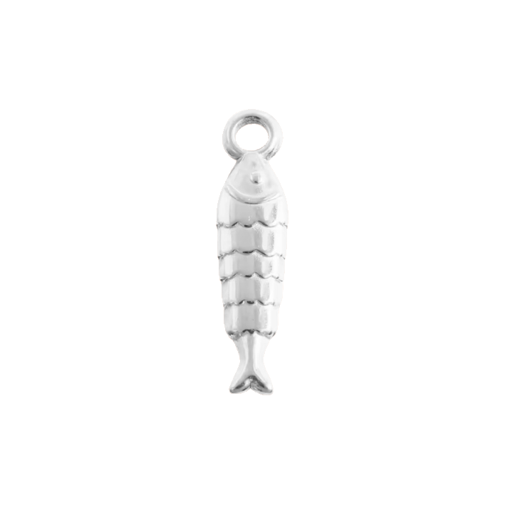 silver fish charm