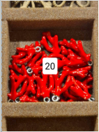 Red coral Silver charm